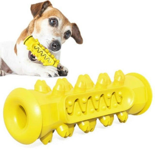 Dog Toy